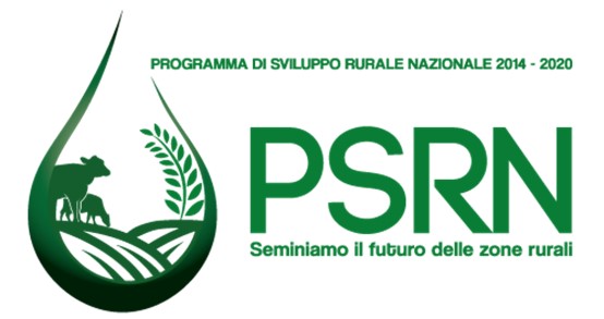 logo psrn